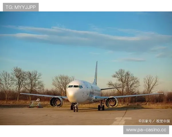 灰熊实力强却靠运气失利捧着金饭碗反把自己饿死的悲剧情景写照录