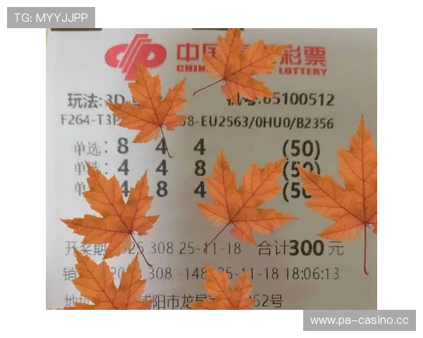 百家乐小路今日看点汇总透视概率走势数据价值不容忽视深度解读